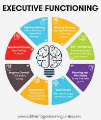 executive function